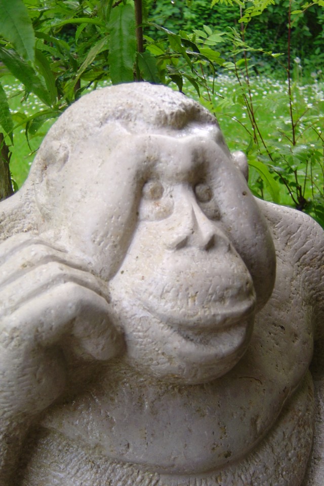 Eva Tamm, Affe Juramarmor