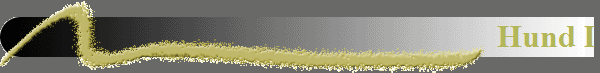 Hund I