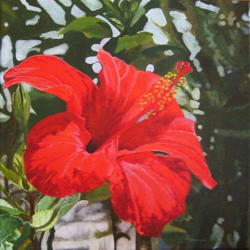Eva Tamm, Hibiskus