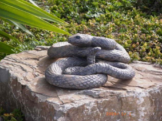 Eva Tamm, Schlange II