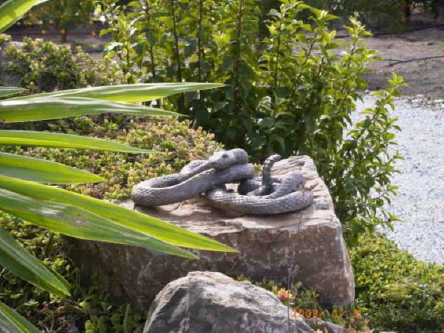 Eva Tamm, Schlange II