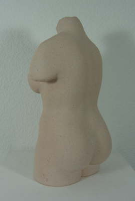 Torso