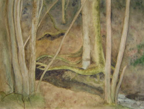 Eva Tamm, Zauberwald