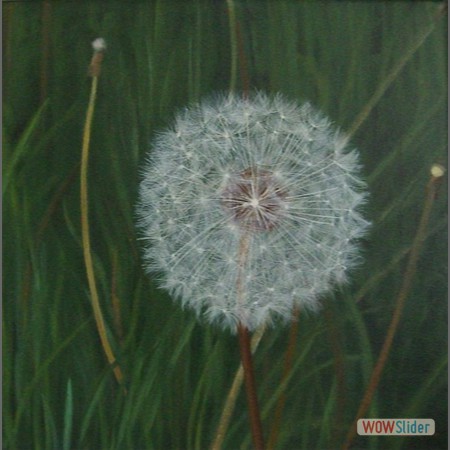 Pusteblume
