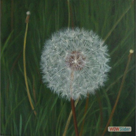 Pusteblume 01-07